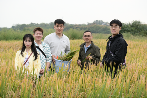 “稻”阻且长，行则将至--学部团队破解节水抗旱育种密码，以科技创新守护大国粮仓